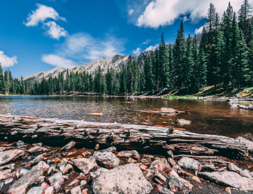 Trampas – Whispers of Wind and Light