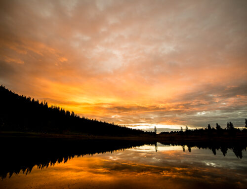 Countercurrents at Dawn